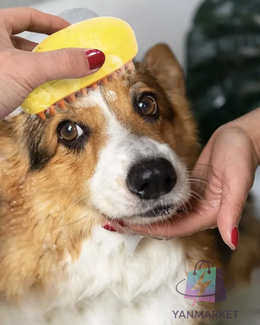 Cepillo A Vapor 3 en 1 para mascotas